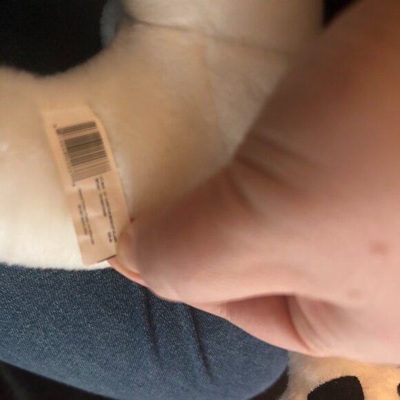 🍁🐻 Toronto Maple Leafs “Carlton the Bear” Plushie – Excellent Used Condition - Picture 2 of 3